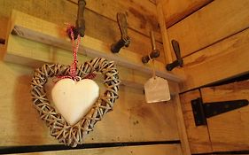La Cabane Du Cerf Et Son Sauna